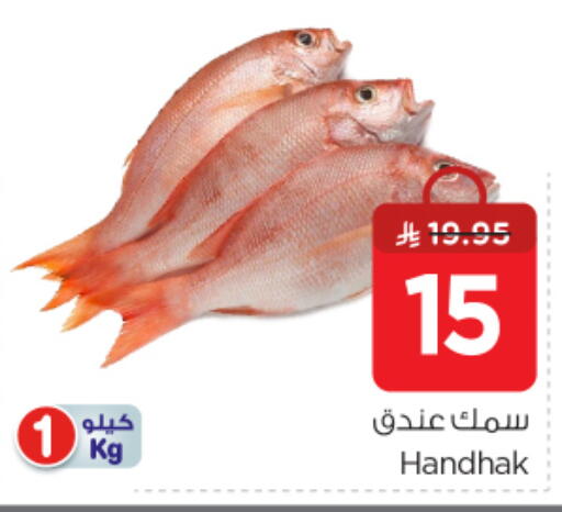 available at نستو in مملكة العربية السعودية, السعودية, سعودية - الرياض
