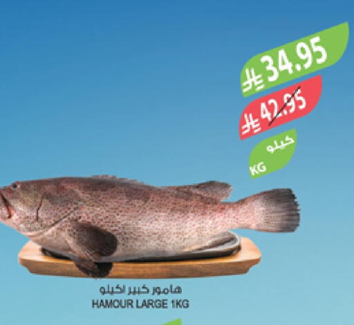 available at المزرعة in مملكة العربية السعودية, السعودية, سعودية - سكاكا