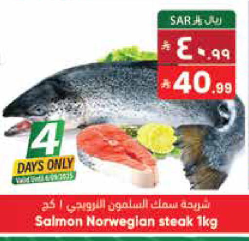 available at ستي فلاور in مملكة العربية السعودية, السعودية, سعودية - نجران
