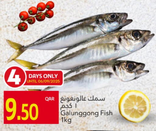 available at جلف فود سنتر in قطر - الدوحة