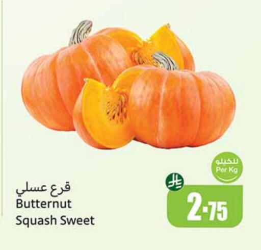 Squash available at Othaim Markets in KSA, Saudi Arabia, Saudi - Yanbu