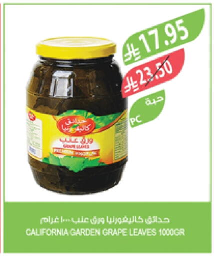 CALIFORNIA available at Farm  in KSA, Saudi Arabia, Saudi - Qatif