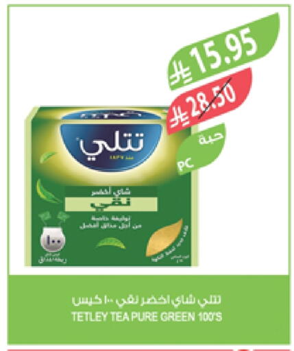Green Tea Bag available at المزرعة in مملكة العربية السعودية, السعودية, سعودية - سكاكا