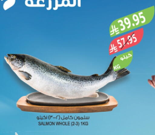 available at المزرعة in مملكة العربية السعودية, السعودية, سعودية - أبها