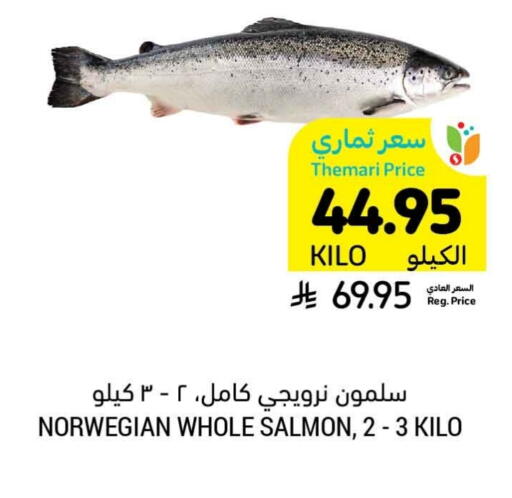 available at أسواق التميمي in مملكة العربية السعودية, السعودية, سعودية - المدينة المنورة