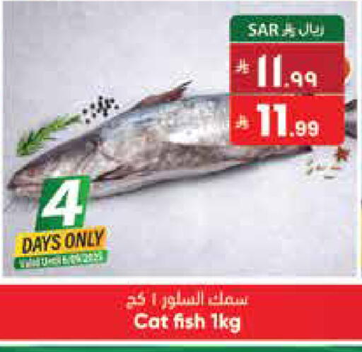 available at ستي فلاور in مملكة العربية السعودية, السعودية, سعودية - نجران