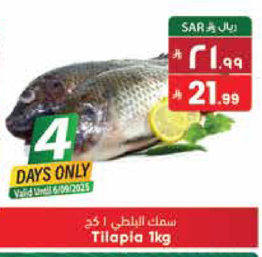 available at ستي فلاور in مملكة العربية السعودية, السعودية, سعودية - سكاكا