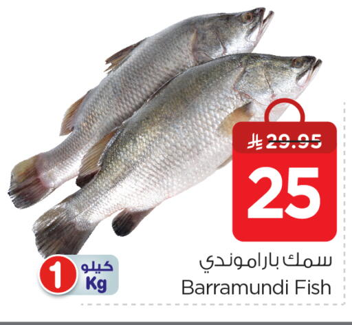 available at نستو in مملكة العربية السعودية, السعودية, سعودية - الرياض