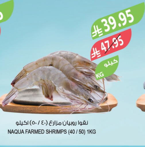 available at المزرعة in مملكة العربية السعودية, السعودية, سعودية - أبها
