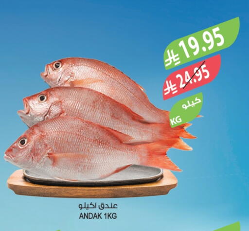 available at المزرعة in مملكة العربية السعودية, السعودية, سعودية - أبها