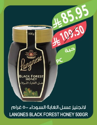 LANGNESE Honey available at Farm  in KSA, Saudi Arabia, Saudi - Tabuk