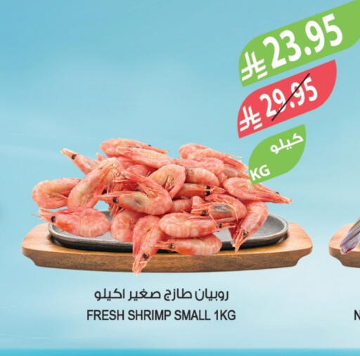 available at المزرعة in مملكة العربية السعودية, السعودية, سعودية - أبها