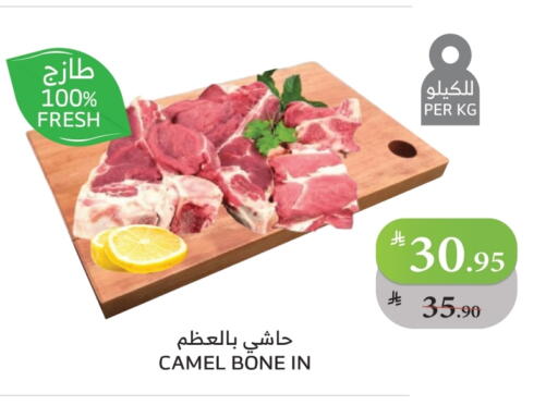 لحم حاشي available at الراية in مملكة العربية السعودية, السعودية, سعودية - مكة المكرمة