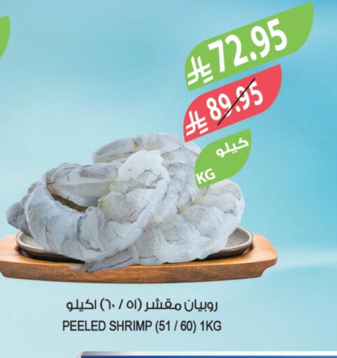 available at المزرعة in مملكة العربية السعودية, السعودية, سعودية - أبها