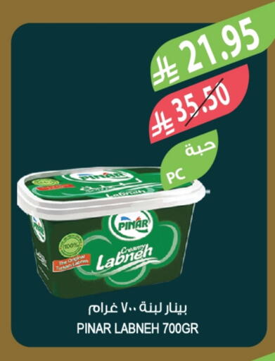 PINAR Labneh available at Farm  in KSA, Saudi Arabia, Saudi - Abha