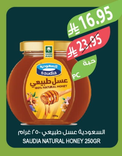 SAUDIA Honey available at Farm  in KSA, Saudi Arabia, Saudi - Tabuk