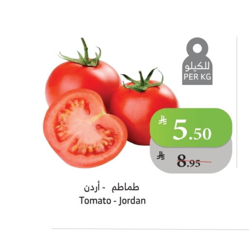 طماطم from Jordan available at الراية in مملكة العربية السعودية, السعودية, سعودية - مكة المكرمة
