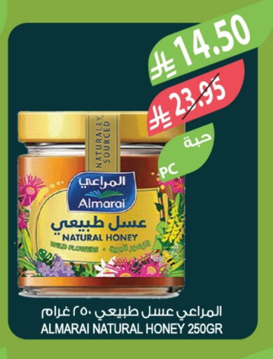 ALMARAI Honey available at Farm  in KSA, Saudi Arabia, Saudi - Tabuk