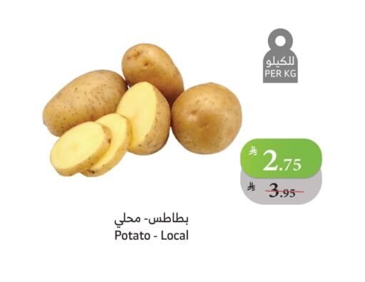 بطاطا available at الراية in مملكة العربية السعودية, السعودية, سعودية - مكة المكرمة