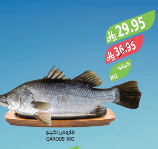available at المزرعة in مملكة العربية السعودية, السعودية, سعودية - أبها