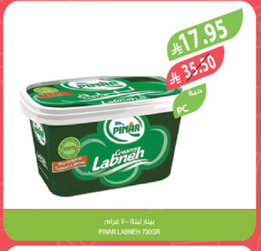 PINAR Labneh available at Farm  in KSA, Saudi Arabia, Saudi - Abha