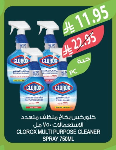 كلوركس منظف المرحاض / البالوعة available at المزرعة in مملكة العربية السعودية, السعودية, سعودية - أبها