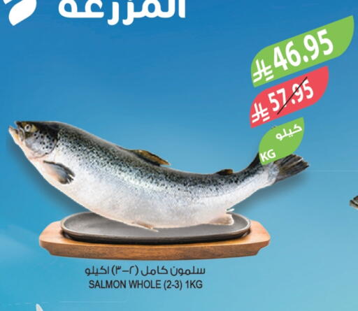 available at المزرعة in مملكة العربية السعودية, السعودية, سعودية - أبها