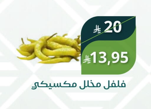 available at Saudi Market in KSA, Saudi Arabia, Saudi - Mecca