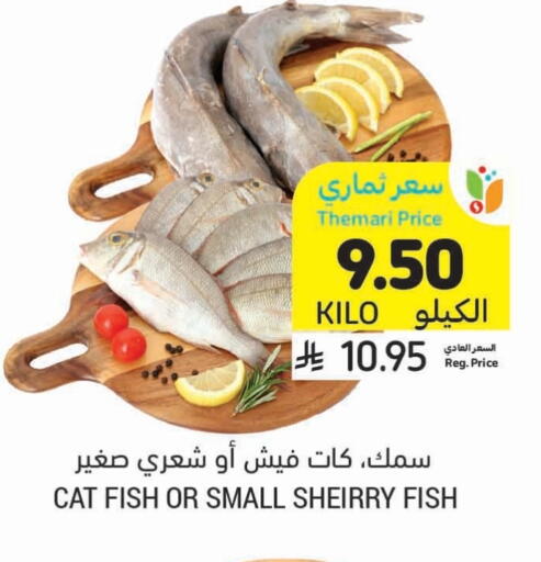 available at أسواق التميمي in مملكة العربية السعودية, السعودية, سعودية - أبها