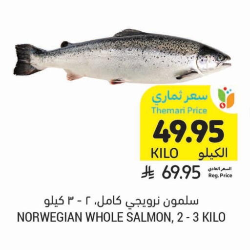 available at أسواق التميمي in مملكة العربية السعودية, السعودية, سعودية - أبها
