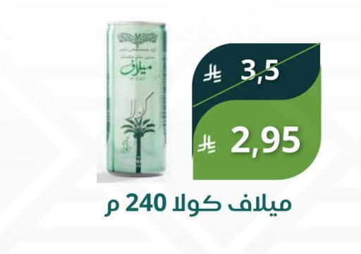 available at Saudi Market in KSA, Saudi Arabia, Saudi - Mecca