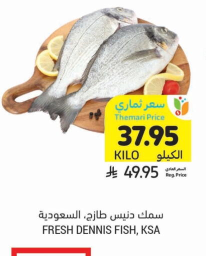 available at أسواق التميمي in مملكة العربية السعودية, السعودية, سعودية - أبها