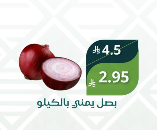 بصل from Saudi Arabia available at سعودى ماركت in مملكة العربية السعودية, السعودية, سعودية - مكة المكرمة