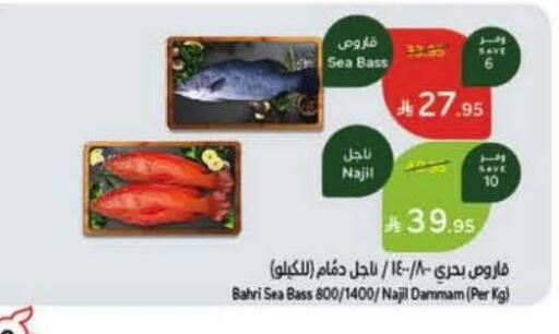 available at هايبر بنده in مملكة العربية السعودية, السعودية, سعودية - مكة المكرمة