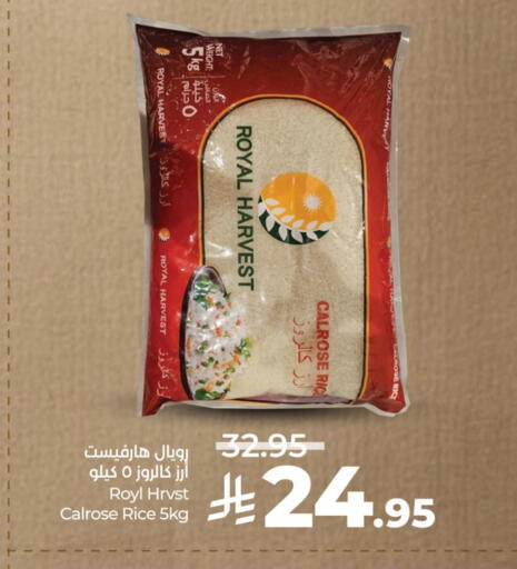 أرز كالروز available at لولو هايبرماركت in مملكة العربية السعودية, السعودية, سعودية - أبها