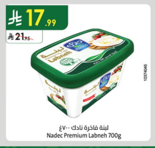 NADEC Labneh available at Danube in KSA, Saudi Arabia, Saudi - Abha