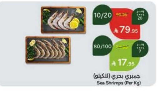 available at هايبر بنده in مملكة العربية السعودية, السعودية, سعودية - مكة المكرمة