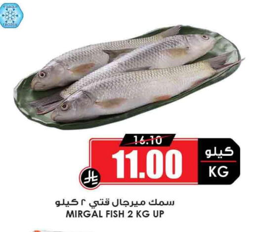 available at أسواق النخبة in مملكة العربية السعودية, السعودية, سعودية - مكة المكرمة