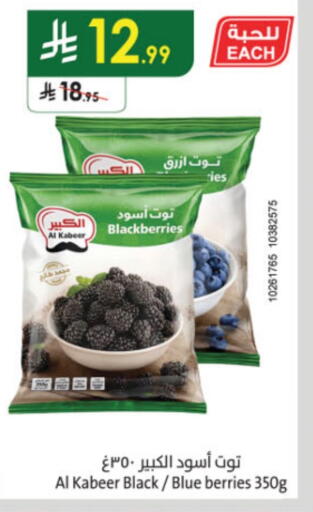 الكبير available at الدانوب in مملكة العربية السعودية, السعودية, سعودية - بريدة