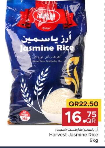 Jasmine Rice available at Family Food Centre in Qatar - Al Rayyan