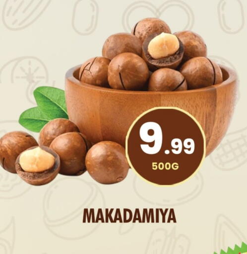 available at نايت تو نايت in الإمارات العربية المتحدة , الامارات - دبي