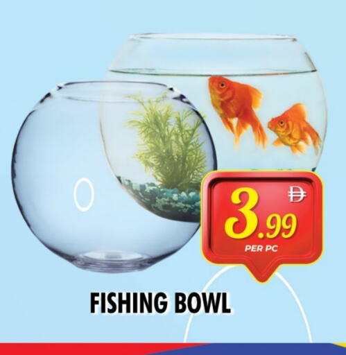 available at نايت تو نايت in الإمارات العربية المتحدة , الامارات - دبي