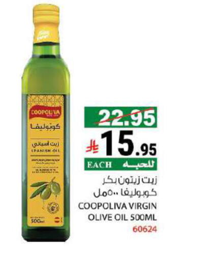 زيت الزيتون البكر available at هاوس كير in مملكة العربية السعودية, السعودية, سعودية - مكة المكرمة
