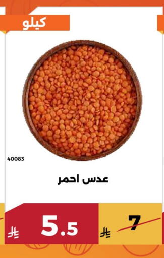 available at Forat Garden in KSA, Saudi Arabia, Saudi - Mecca