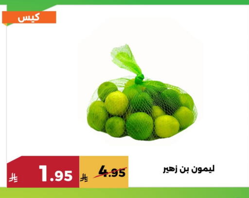 available at Forat Garden in KSA, Saudi Arabia, Saudi - Mecca