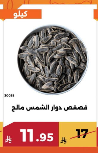 available at Forat Garden in KSA, Saudi Arabia, Saudi - Mecca