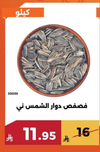 available at Forat Garden in KSA, Saudi Arabia, Saudi - Mecca