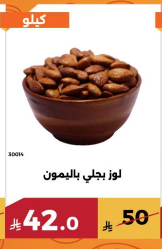 available at Forat Garden in KSA, Saudi Arabia, Saudi - Mecca