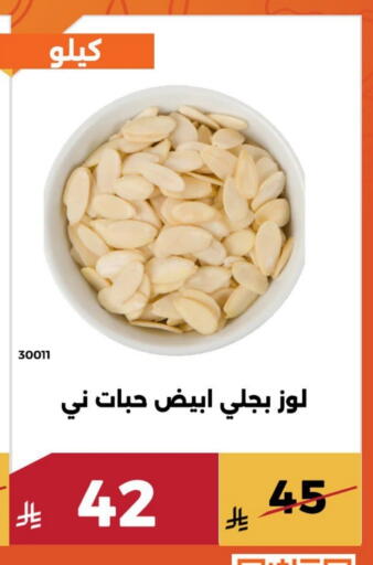 available at Forat Garden in KSA, Saudi Arabia, Saudi - Mecca