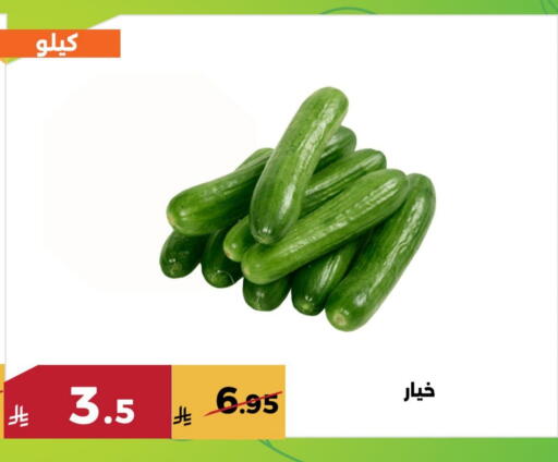 available at Forat Garden in KSA, Saudi Arabia, Saudi - Mecca
